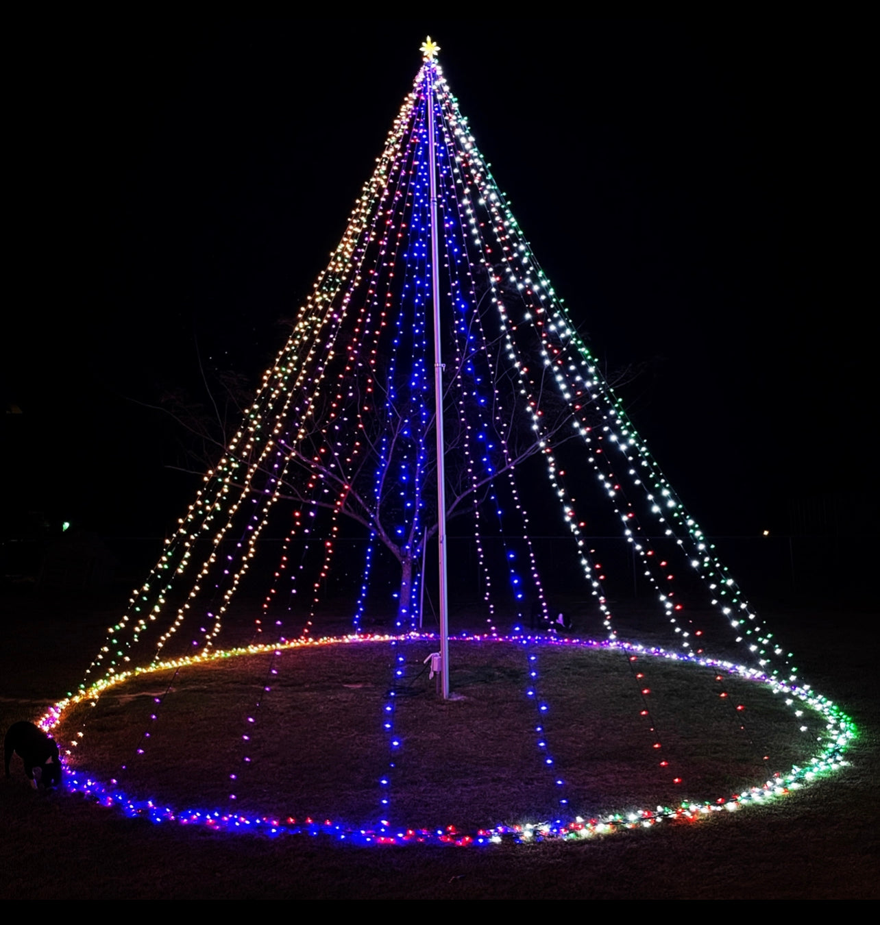 flagpole christmas tree string light LEDs JattyCo